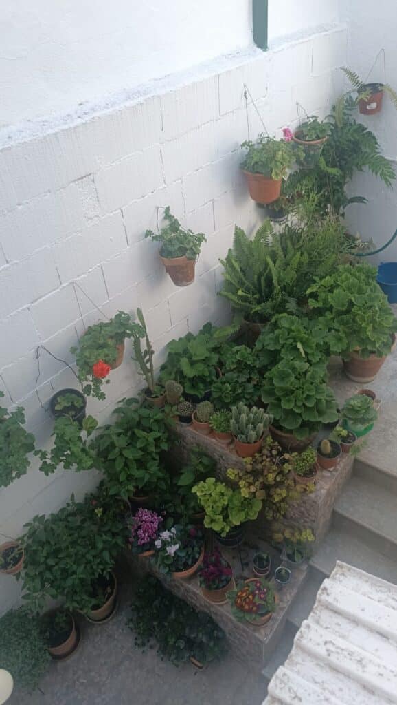Se Vende Casa Reformada Muy Económica.33